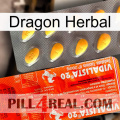 Dragon Herbal new01